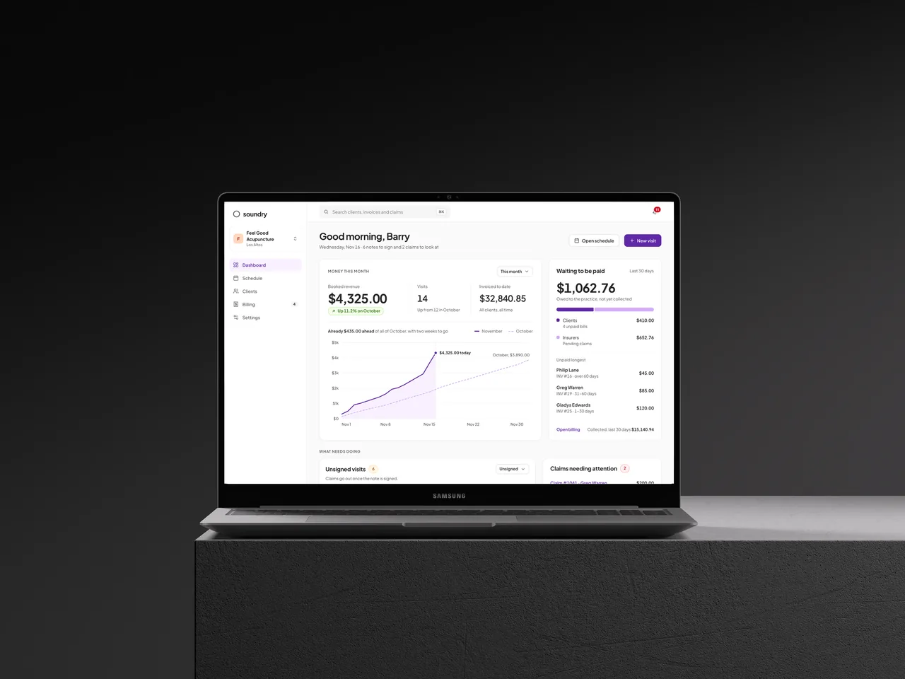 Soundry practice management interface